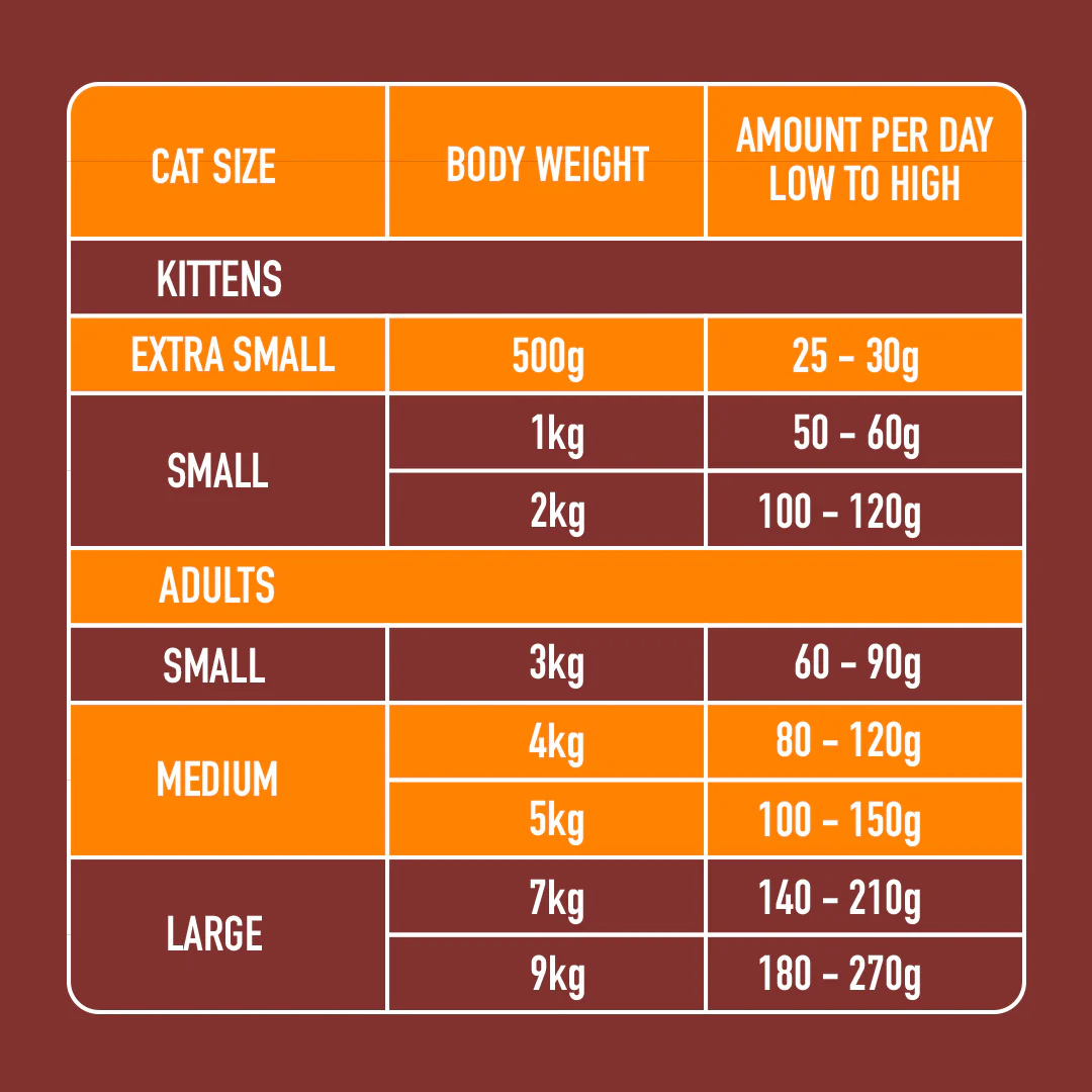 5kg Cat Starter Box - Image 6