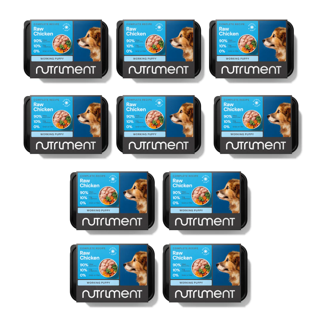 5kg Puppy Starter Pack