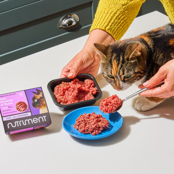 Cat Raw Lamb 500g - Image 3