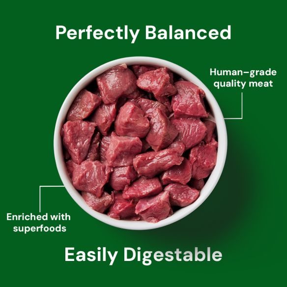 Cat Raw Lamb 500g - Image 4