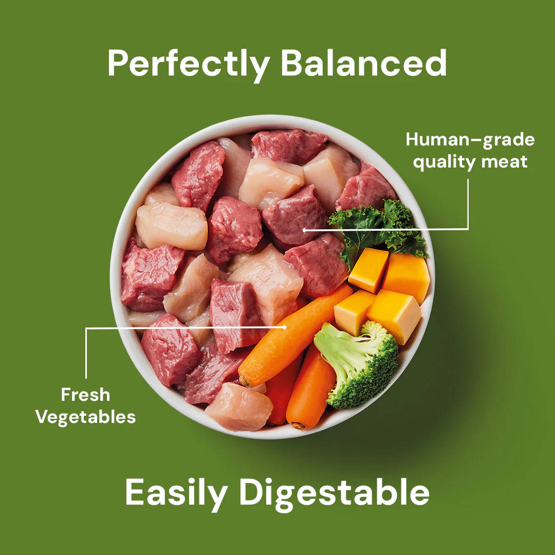 Raw Chicken & Lamb 500g - Image 4