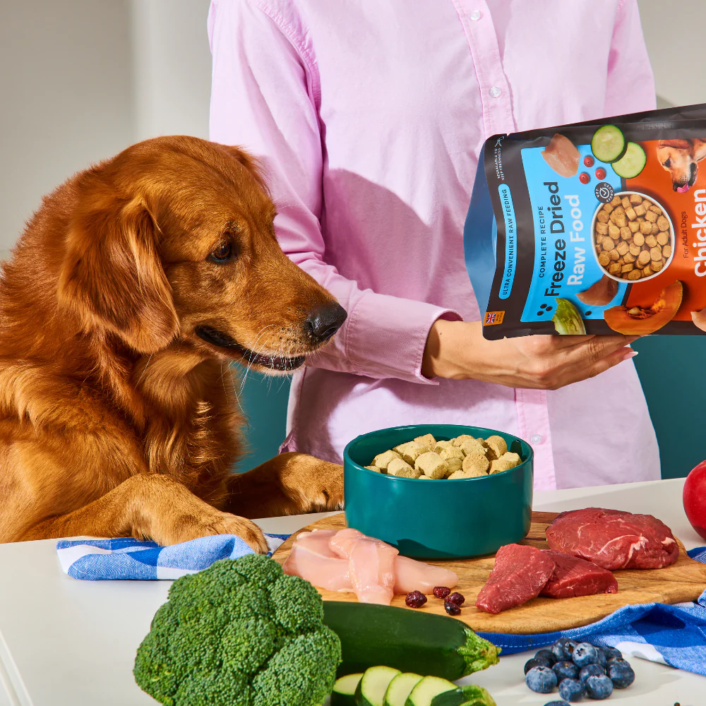 Freeze Dried Food - Beef 225g - Image 4