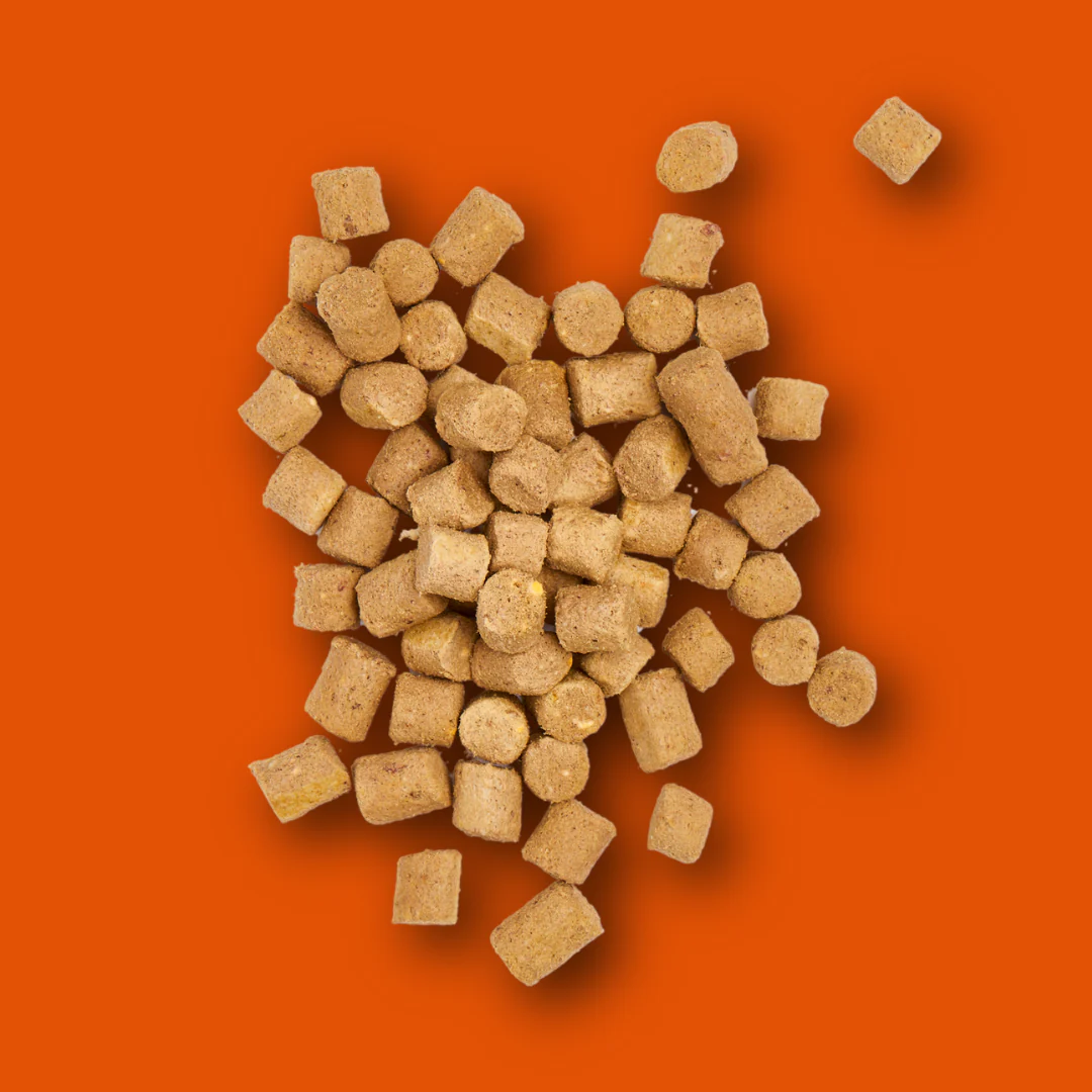 Freeze Dried Treats - Chicken 30g - Image 2