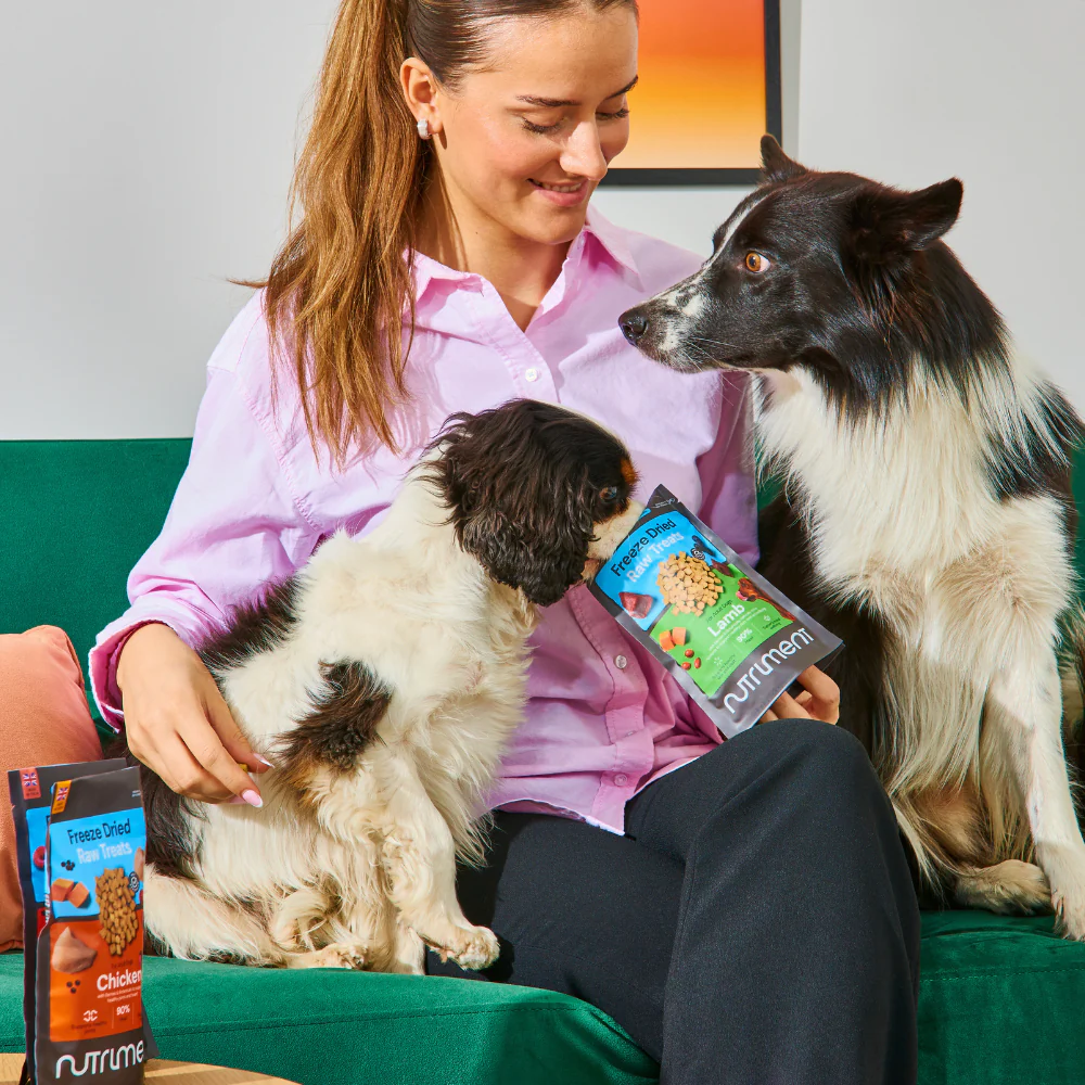 Freeze Dried Treats - Chicken 30g - Image 5