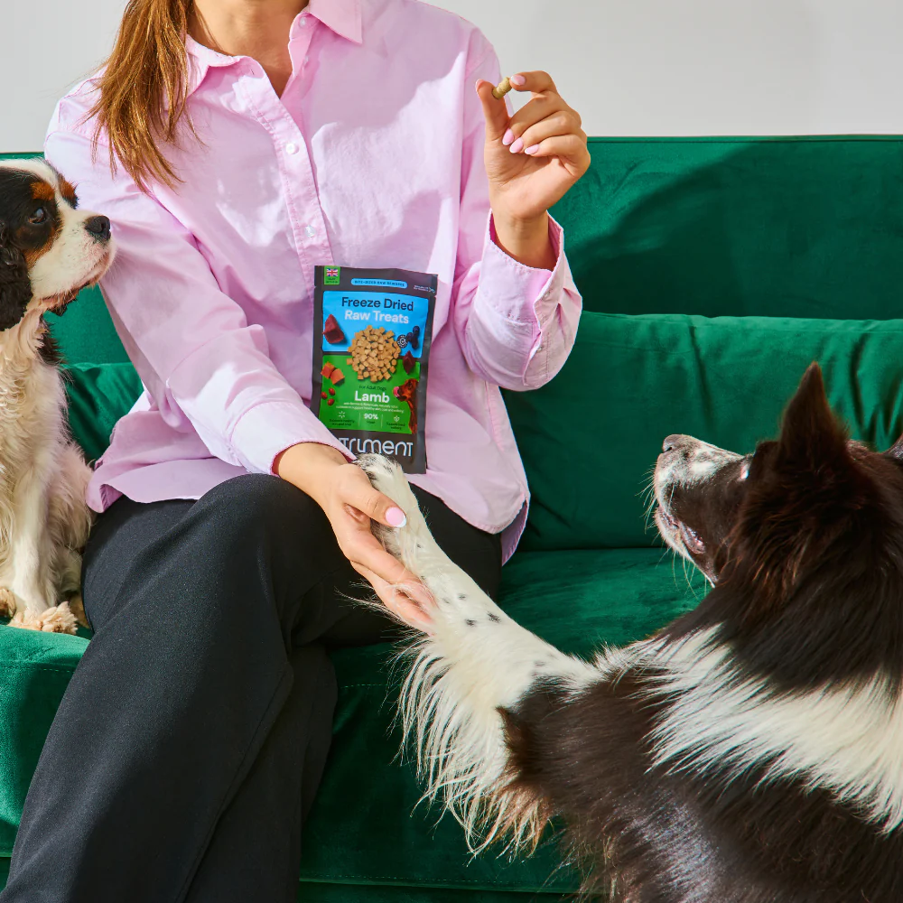 Freeze Dried Treats - Lamb 30g - Image 5