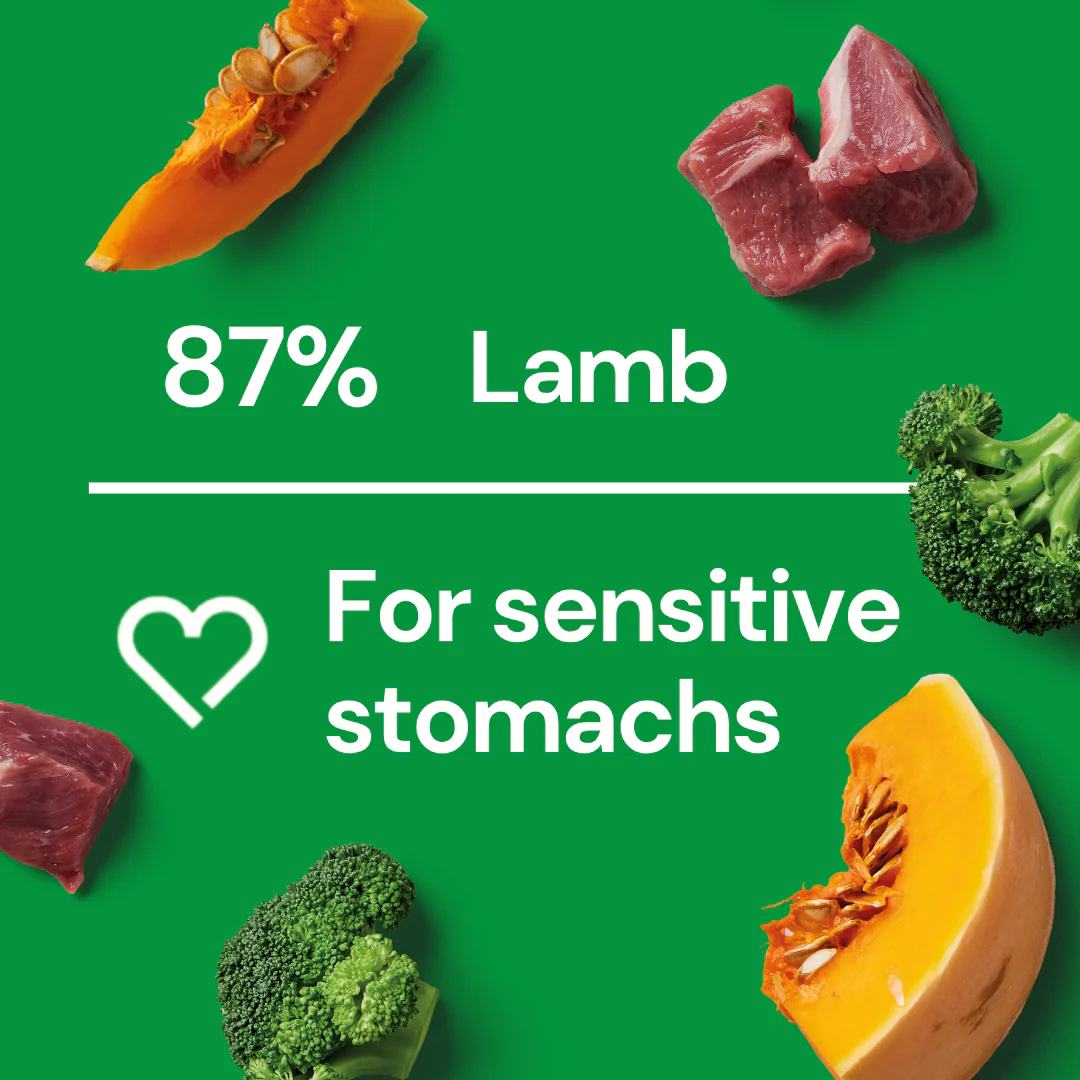 Fresh Medallions - Lamb 800g - Image 3