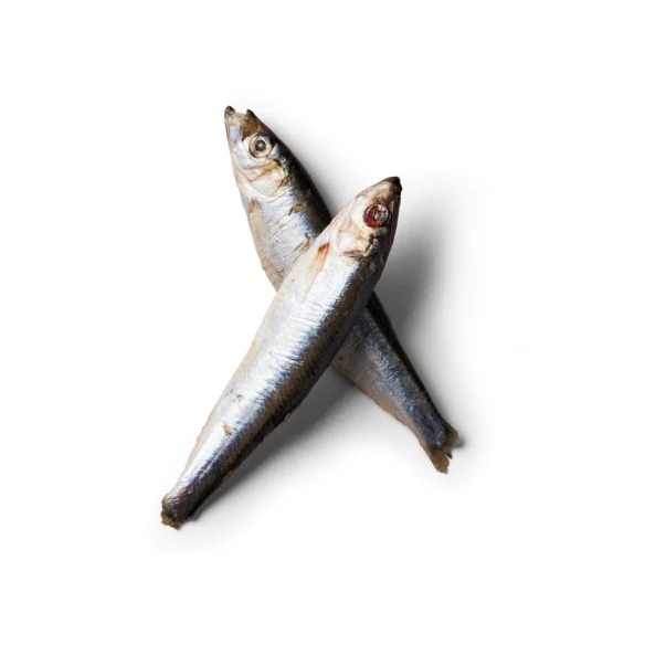 Sprats 1kg - Image 3