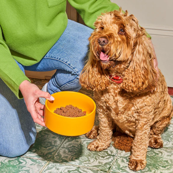 Puppy Gently Steamed Turkey 395g - Image 6
