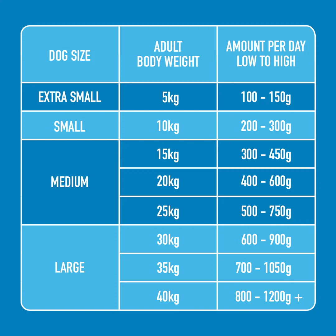 Light Support 500g - Image 6
