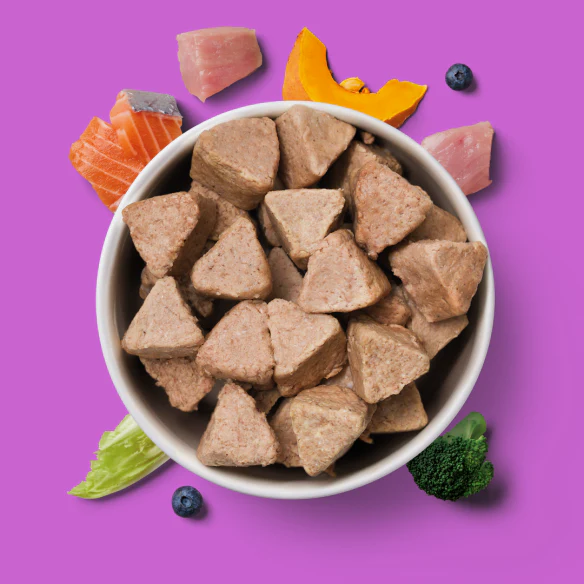 Raw Turkey & Salmon Nuggets for Senior Dogs 1kg - Image 2
