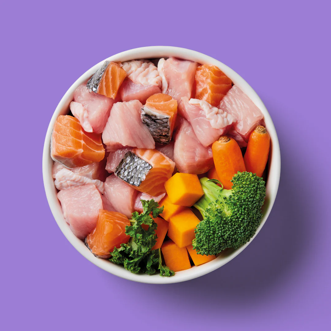 Raw Salmon & Turkey 1.4kg - Image 2