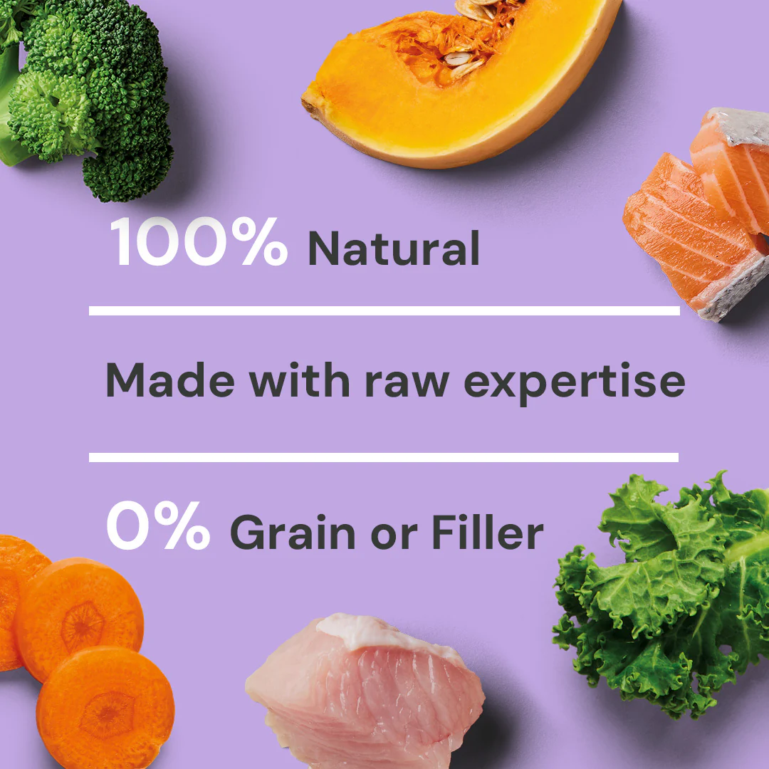 Raw Salmon & Turkey 500g - Image 4