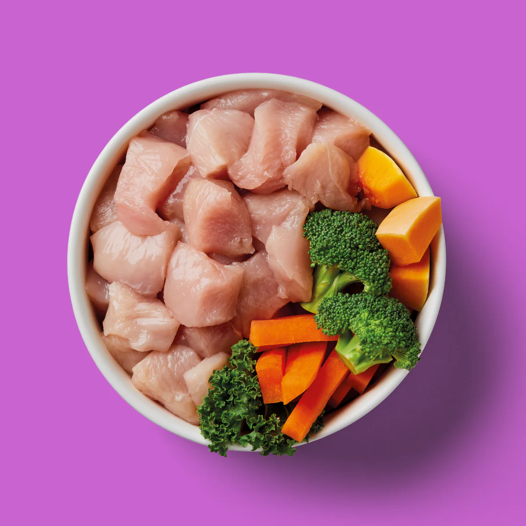 Senior Raw Chicken 500g - Image 2