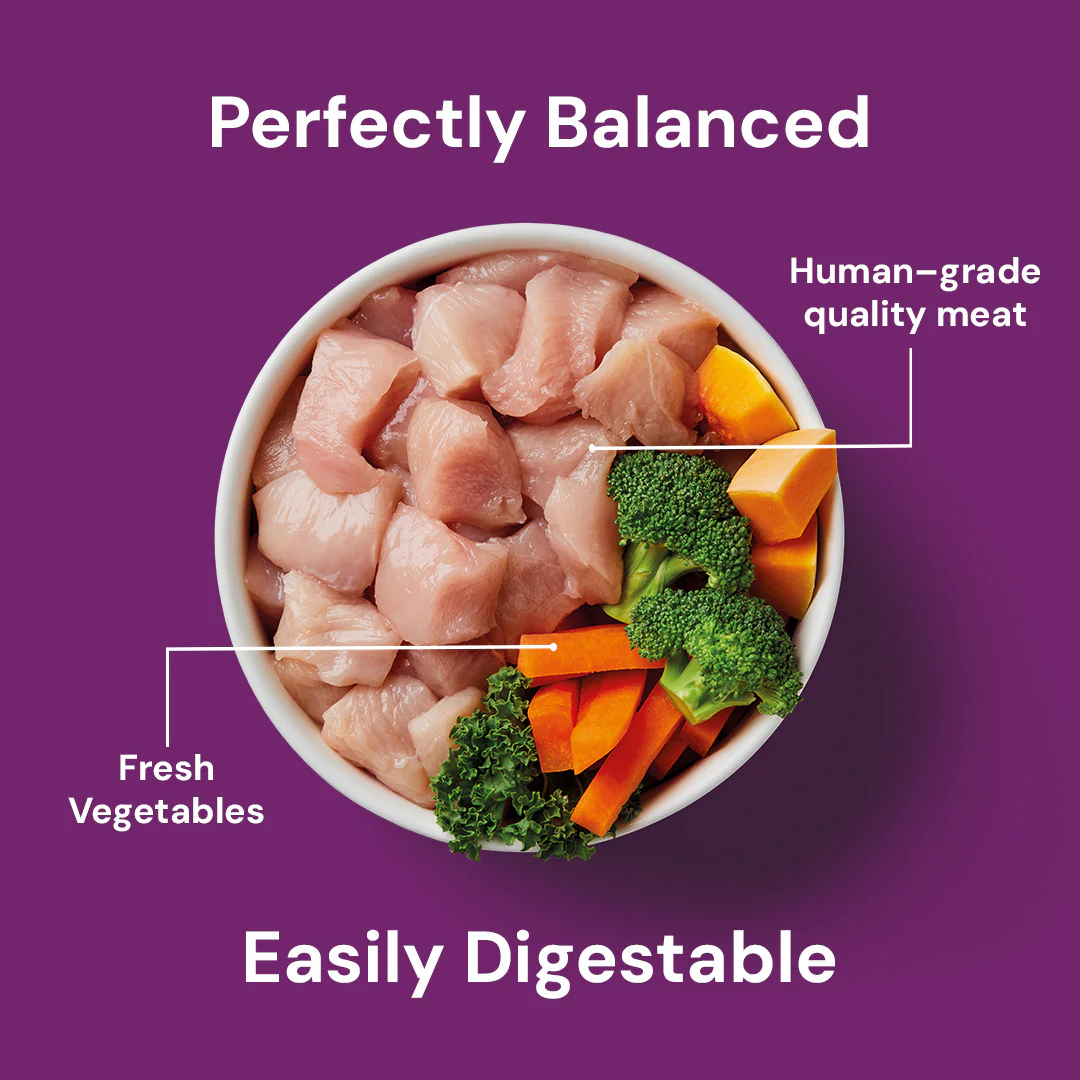 Senior Raw Chicken 500g - Image 4